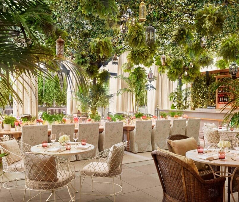 nycte terrace 6938 hor clsc
