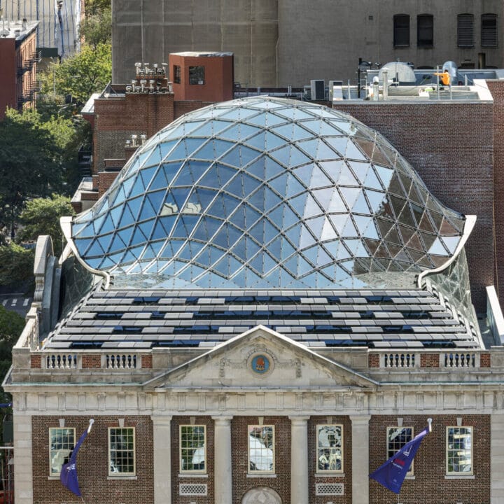 Tammany Hall 6 2020FD44 403 HR