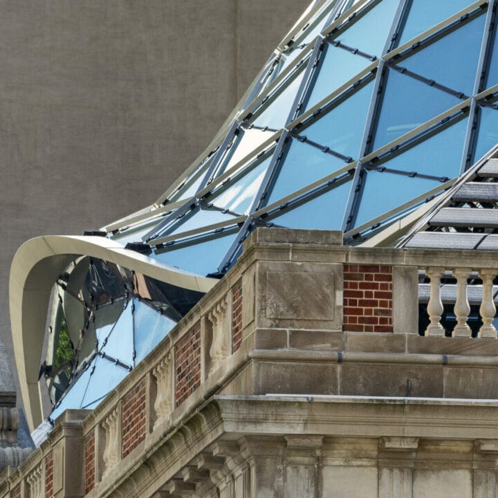 Tammany Hall 5 2020FD44 427 HR