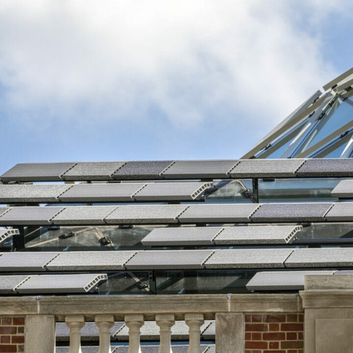 Tammany Hall 4 2020FD44 430 HR